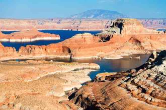 As climate change and overuse shrink Lake Powell, the emergent landscape is coming back to life – and posing new challenges
