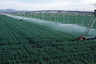 Producers are drawing groundwater from the giant Ogallala Aquifer faster than nature replaces it