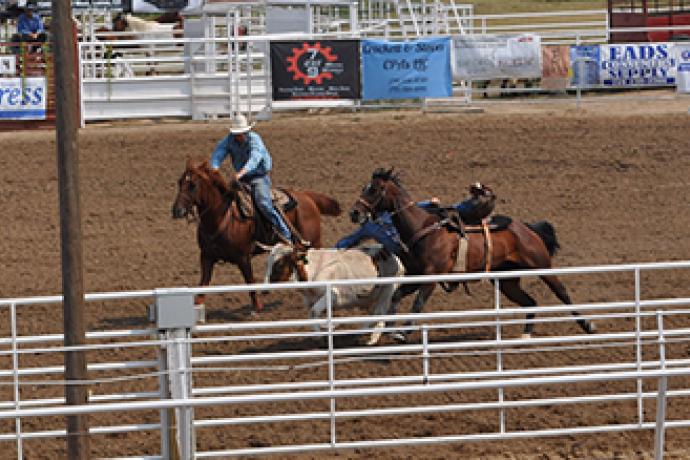 2017-09-10 PICT Fair - Steer Wrestling - Roland Sorensen 2017-09-10 PICT Fair - Steer Wrestling - Roland Sorensen
