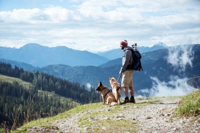 4 Dog-Friendly Activities in Colorado to Enjoy This Summer 4 Dog-Friendly Activities in Colorado to Enjoy This Summer