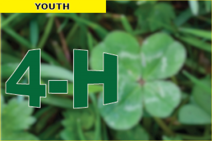 PROMO 4-H PROMO 4-h