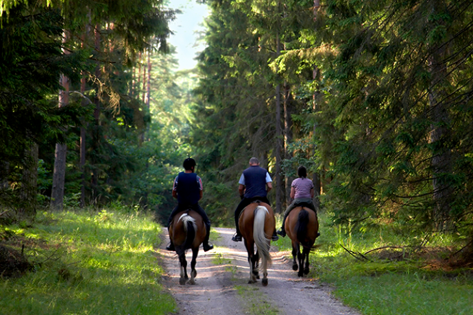 PROMO 660 x 440 Outdoors - Recreation Horseback Riding People Forest Trail - iStock - amaxim PROMO 660 x 440 Outdoors - Recreation Horseback Riding People Forest Trail - iStock - amaxim