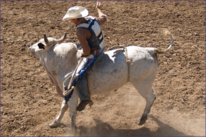 PROMO Bull Riding PROMO Bull Riding