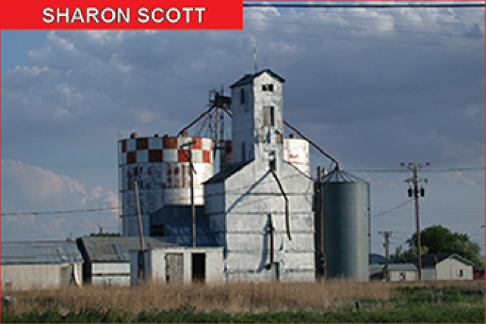 Sharon Scott - Community Columnist Sharon Scott - Community Columnist