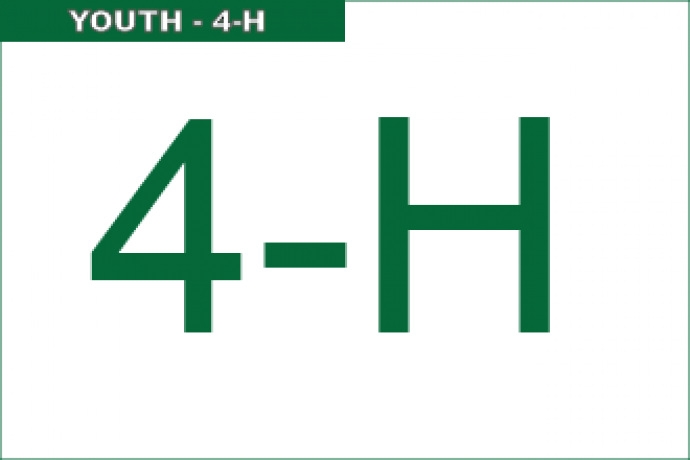 Youth - 4-H Youth - 4-H