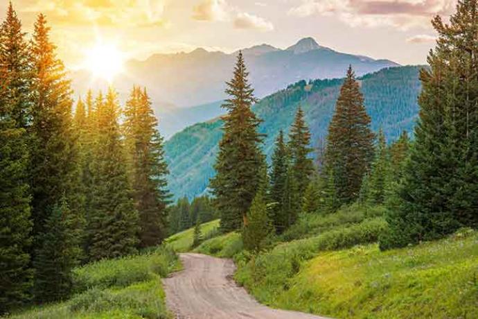 PROMO 64J1 Outdoors - Mountains Trees Road Landscape Sun - iStock - welcomia PROMO Outdoors - Mountains Trees Road Landscape Sun - iStock - welcomia