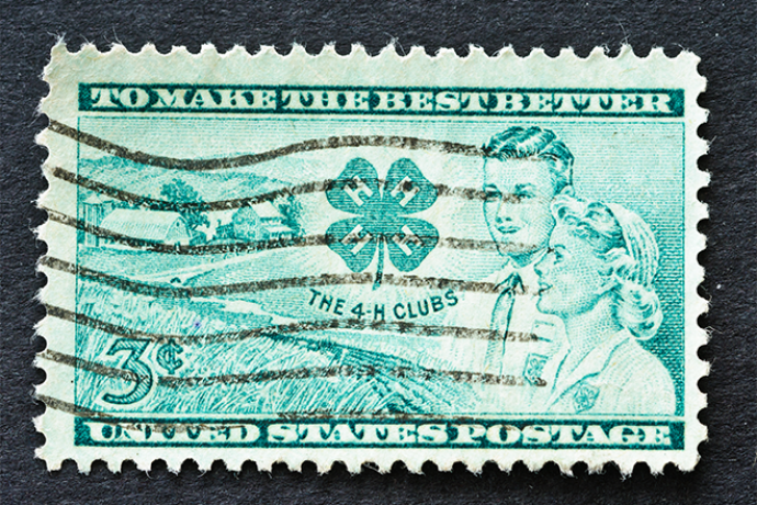 PROMO 660 x 440 Miscellaneious - 4-H 4H Stamp - iStock - KenWiedemann PROMO 660 x 440 Miscellaneious - 4-H 4H Stamp - iStock - KenWiedemann