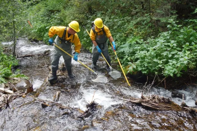 PICT Saving Hayden Creek Trout - CPW PICT Saving Hayden Creek Trout - CPW