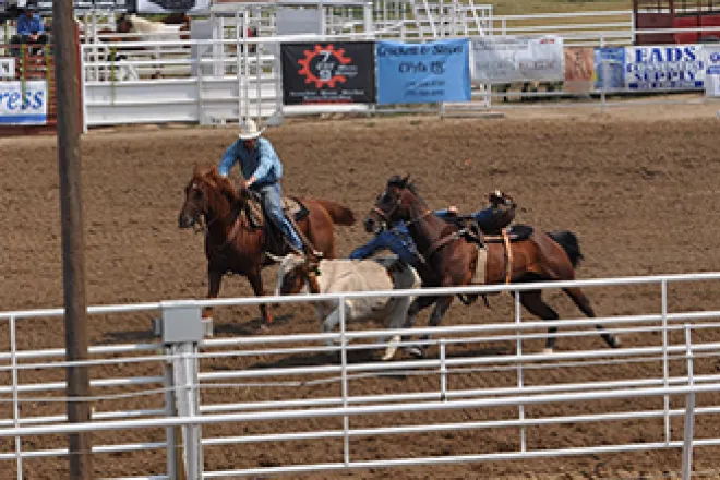 2017-09-10 PICT Fair - Steer Wrestling - Roland Sorensen 2017-09-10 PICT Fair - Steer Wrestling - Roland Sorensen