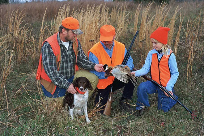PICT Hunting - Hunters Dog Pheasant - USFWS PICT Hunting - Hunters Dog Pheasant - USFWS