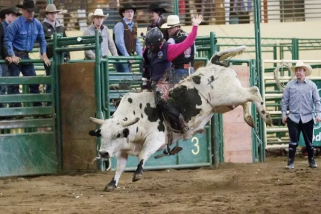 PICT Nate Hoey Bull Riding Skyline Stampede Rodeo - LCC