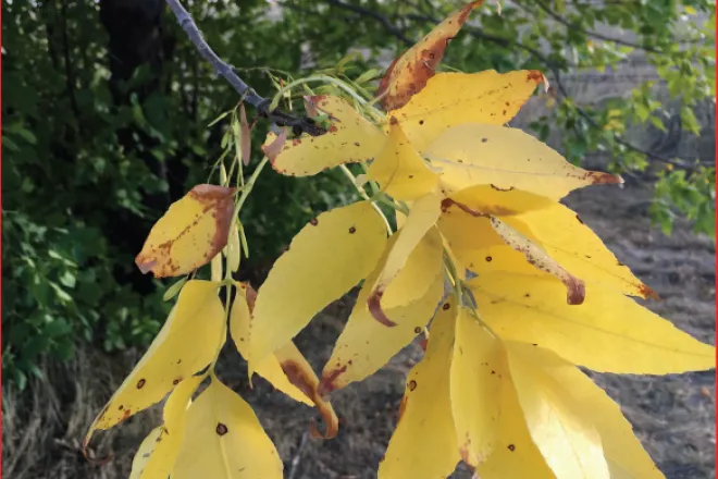 Photo of the Week - October 26, 2018 Photo of the Week - October 26, 2018