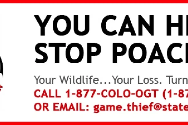PICT BANNER Operation Game Theif - CPW PICT BANNER Operation Game Theif - CPW