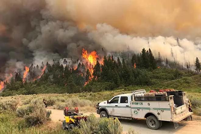 PICT Pine Gulch Fire in Mesa County north of Grand Junction in August 2020.