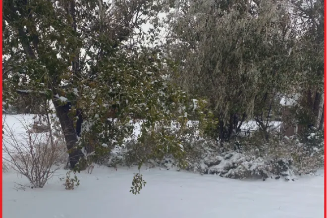 Photo of the Week - 2020-11-13 - Snow near Eads, Kiowa County, Colorado.
