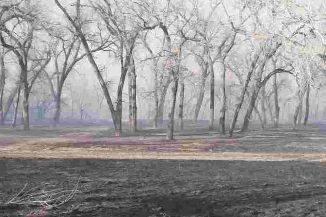 PICT Fire damage at Oxbow State Wildlife Area - CPW PICT Fire damage at Oxbow State Wildlife Area - CPW