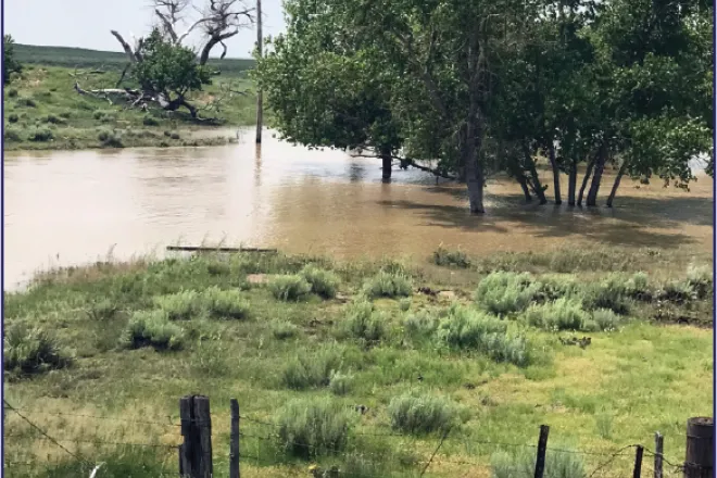 photo of the Week - 2023-06-30 - Flooding on Sand Creek in Kiowa County - Chris Sorensen