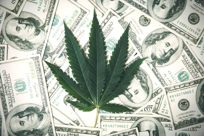 Marijuana leaf over scattered United States one hundred dollar bills