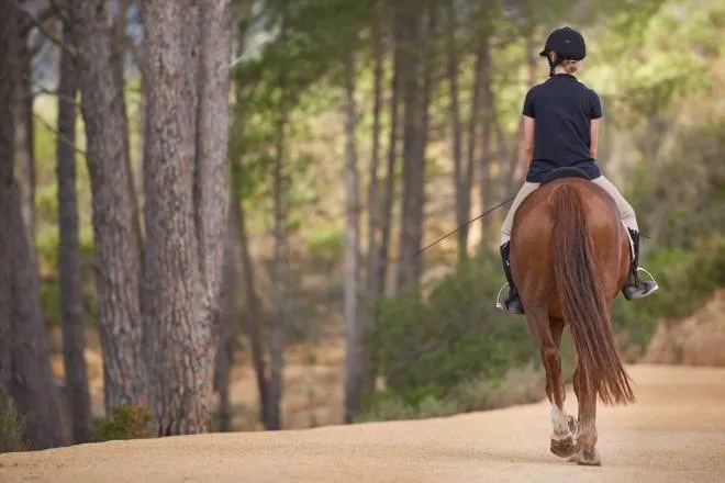 A equestrian riding their horse on a dirt path under a tree line. They are using a horse lead, dressed in a helmet and gear.