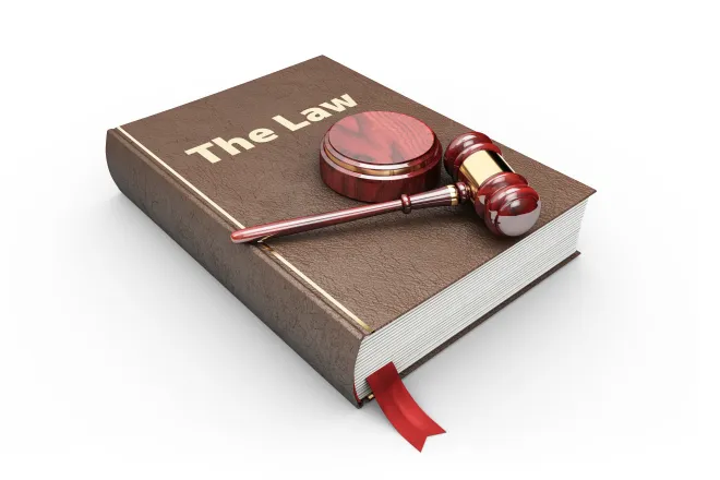 Concept image of a book with the title "The Law" with a gavel and strike plate rest on top.