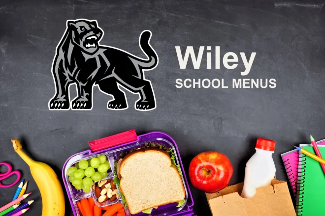 The Wiley School Panthers mascot, chalked on a blackboard above a packed school lunch of a sandwich, grapes, carrots, an apple and a bottle of milk, with pencils and notebooks. The board reads “Wiley School Menus”.