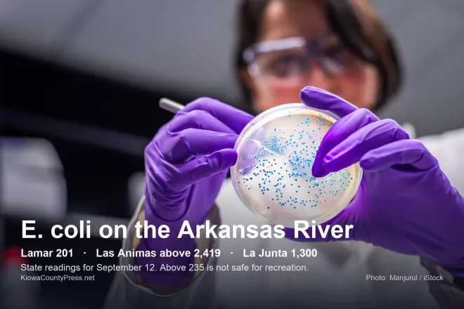 A lab worker in purple gloves holds a petri dish dotted with blue E. coli colonies. Text reads: E. coli on the Arkansas River. Lamar 201, Las Animas above 2,419, La Junta 1,300. State readings for September 12. Above 235 is not safe for recreation.