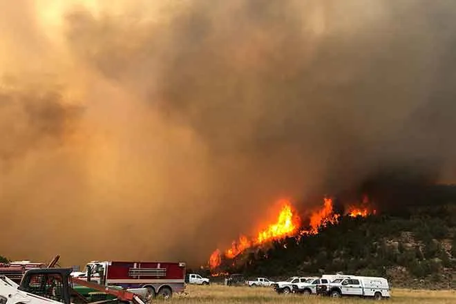 PICT Pine Gulch Fire in Mesa County north of Grand Junction in August 2020.