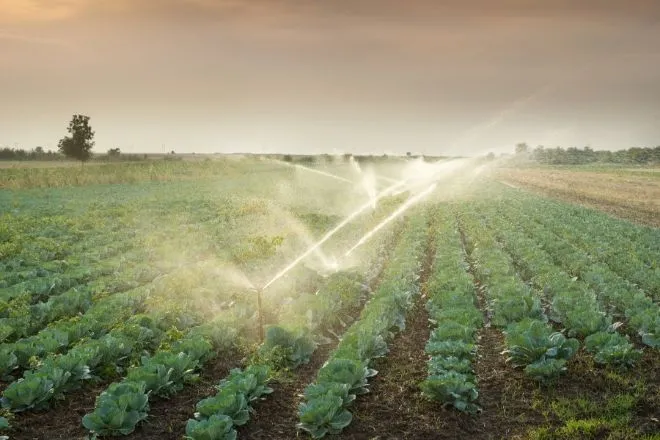 3 Ways to Improve Irrigation Efficiency and Increase Yields