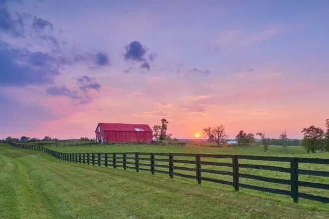 The 6 best farm fencing options