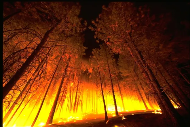 PROMO 660 x 440 Fire - Forest Fire - Wikimedia PROMO 660 x 440 Fire - Forest Fire - Wikimedia