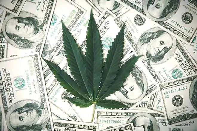 PROMO 64J1 Miscellaneous - Marijuana Drugs Dollar Money - iStock - pcess609 PROMO Miscellaneous - Marijuana Drugs Dollar Money - iStock - pcess609