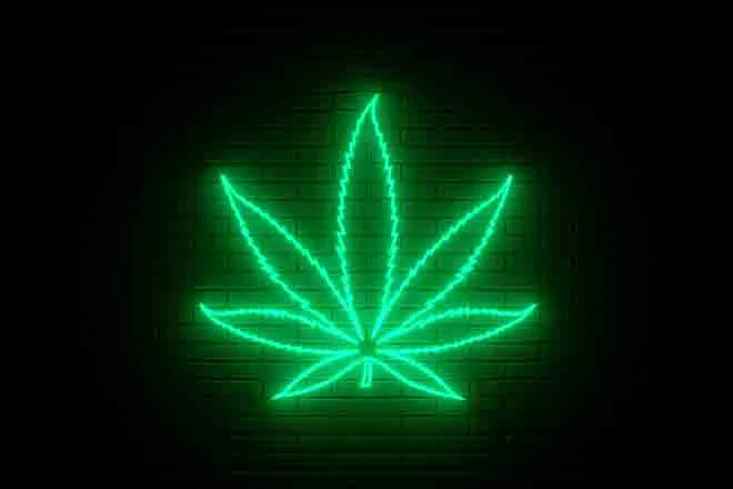 PROMO 64J1 Plant - Marijuana Leaf Neon Sign - iStock - Nikolay Evsyukov PROMO 64J1 Plant - Marijuana Leaf Neon Sign - iStock - Nikolay Evsyukov