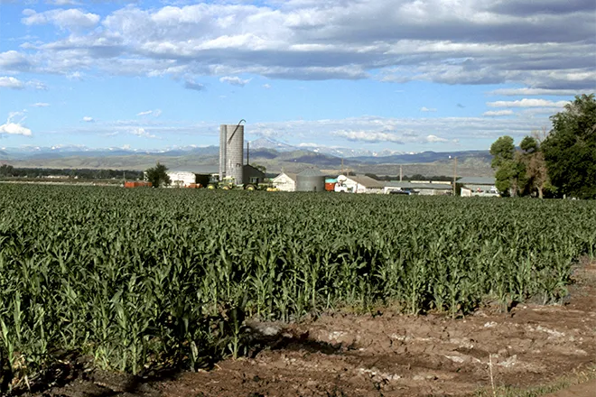 PROMO 660 x 440 Agriculture - Landscape Corn Field Farm Silo Larimer County - wikimedia - USDA ARS - public domain PROMO 660 x 440 Agriculture - Landscape Corn Field Farm Silo Larimer County - wikimedia - USDA ARS - public domain