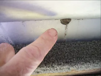 PICT - Invasive Mussel on Boat - CPW PICT - Invasive Mussel on Boat - CPW