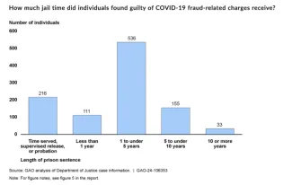 Chart of jail time served by people found guilty of Covid-related fraud from US Government Accountability Office