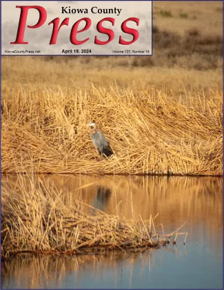 Crane standing on reeds next to a pond.