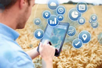 Person standing in a wheat field using a tablet device with agriculture icons imposed