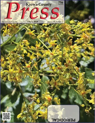 Photo of the week from the July 5, 2024, edition of the Kiowa County Press in Eads, Colorado - blossoms on a rain tree - Chris Sorensen.