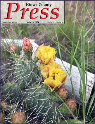 Cactus in bloom near a log surrounded by prairie grass.