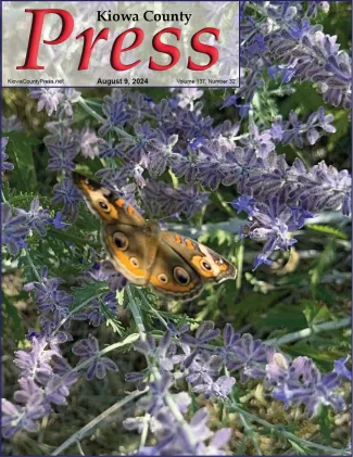 rado - Common Buckeye Butterfly feasting on Russian Sage blossoms - Chris Sorensen.