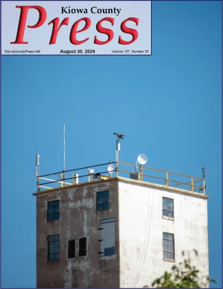 Turkey vulture atop the grain elevator in Eads, Colorado - Chris Sorensen