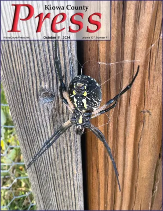 Black-and-Yellow Argiope spider - common across Colorado - Chris Sorensen