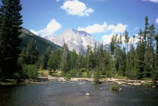 Lake surrounded by pine trees with a mountain in the background.