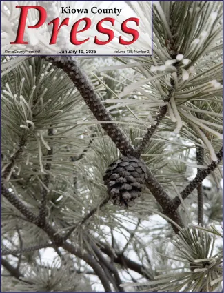 Pine cone nestled among ice-covered needles from freezing fog Saturday morning - Chris Sorensen. Pine cone nestled among ice-covered needles from freezing fog Saturday morning - Chris Sorensen.