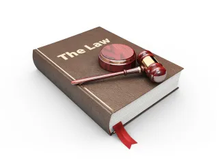 Concept image of a book with the title "The Law" with a gavel and strike plate rest on top.