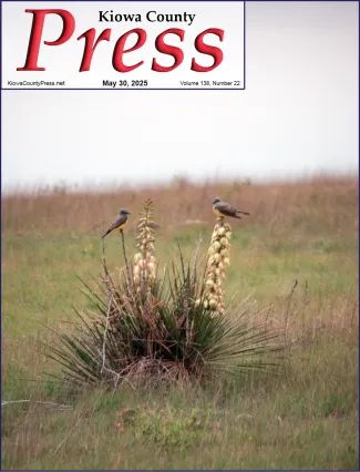 Photo of the week from the May 30, 2025, edition of the Kiowa County Press in Eads, Colorado - Western Kingbirds perched on blooming yucca in Kiowa County, Colorado - Chris Sorensen. Photo of the week from the May 30, 2025, edition of the Kiowa County Press in Eads, Colorado - Western Kingbirds perched on blooming yucca in Kiowa County, Colorado - Chris Sorensen.