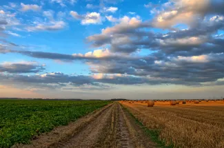 PROMO HIRES Agriculture - Field Crop Hay Round Bale Dirt Road - Pixabay - Wolfgang Borchers Dirt road running between a green, growing field and baled hay.