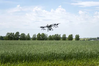 An unmanned aerial vehicle- also know as a UAV or drone - hovers or flies over an agricultural crop. Trees are in the background.