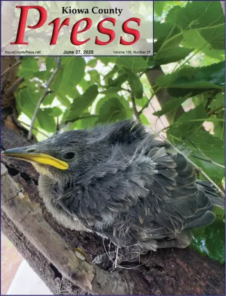 Photo of the week from the June 27, 2025, edition of the Kiowa County Press in Eads, Colorado - A rescued Common Starling - Chris Sorensen. Photo of the week from the June 27, 2025, edition of the Kiowa County Press in Eads, Colorado - A rescued Common Starling - Chris Sorensen.