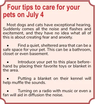 Pet care tips for July 4